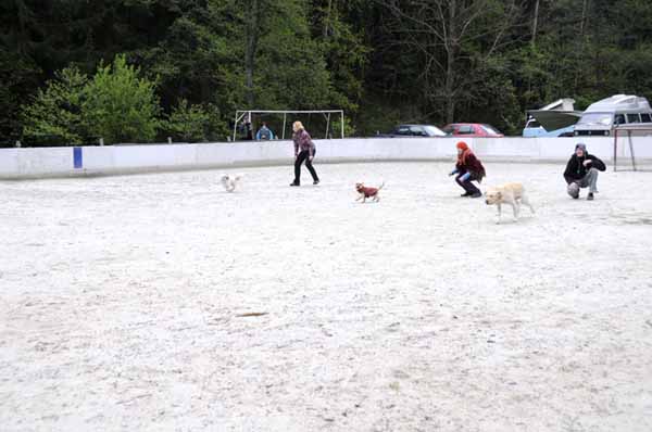 Podmitrov květen 2014
