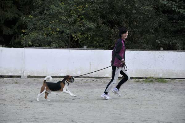 Podmitrov podzim  2014