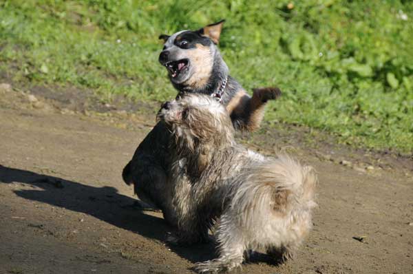 Podmitrov podzim  2014